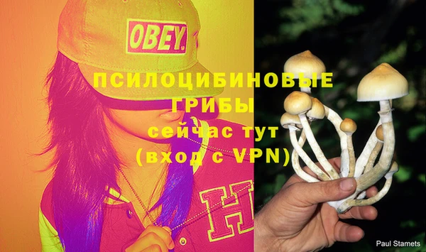 прущая мука Белокуриха