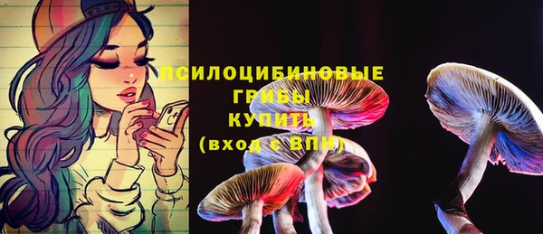 прущая мука Белокуриха