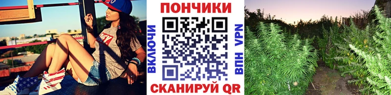 Бошки марихуана MAZAR  Окуловка 